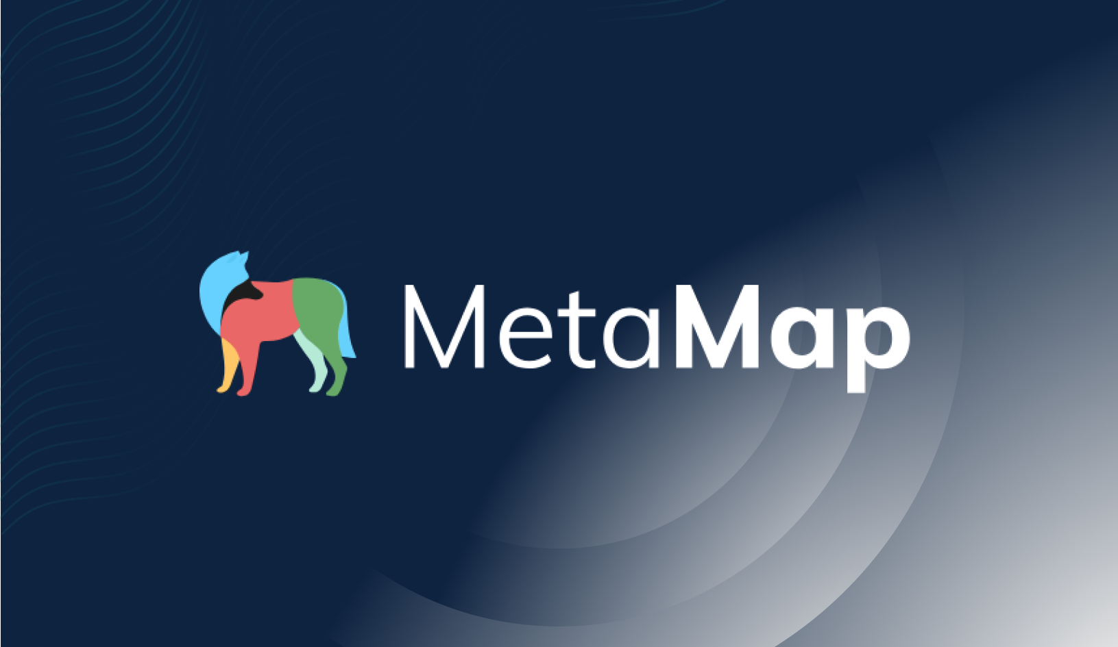 MetaMap